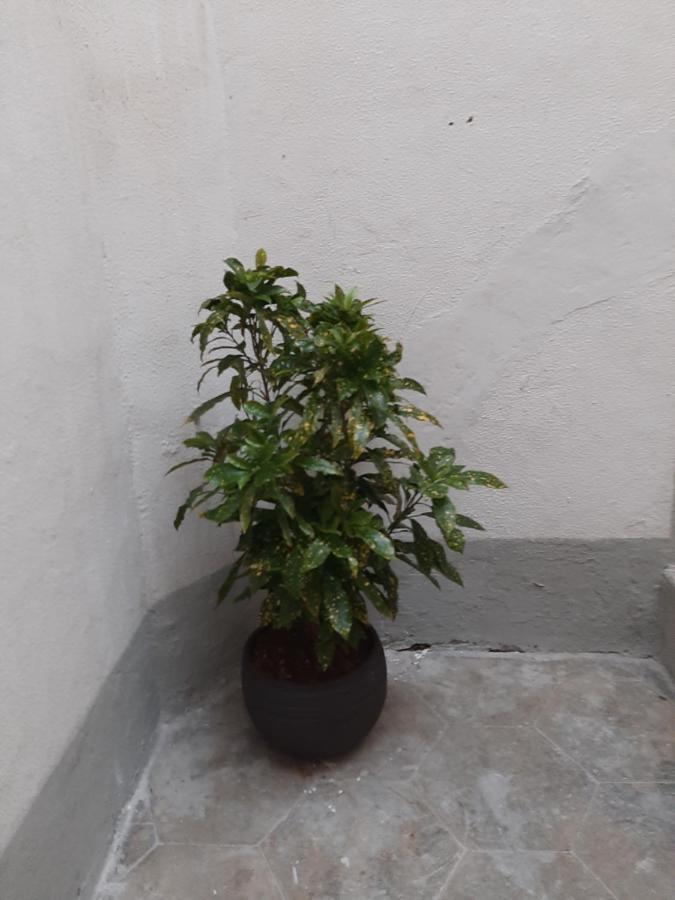 Al Crocifisso...Da Nonna Pia Leilighet Salerno Eksteriør bilde